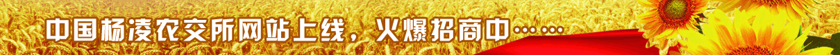 中国杨凌农交所