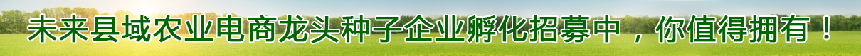 未来县域农业电商龙头种子企业孵化招募中，你值得拥有！