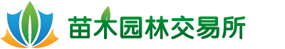 樱花苗交易所