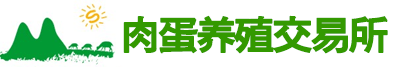 孔雀交易所