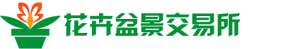 万年青交易所