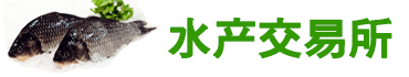 乌龟交易所