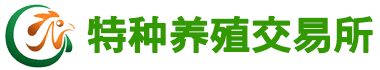 黄粉虫交易所